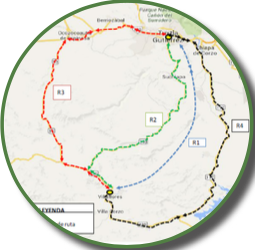 circulo_mapa.png